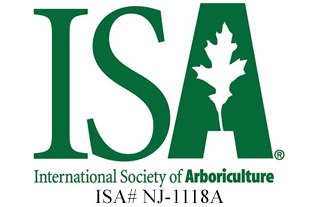 isa